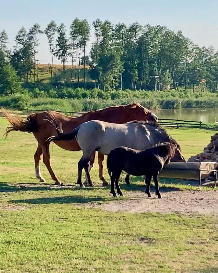 Agrotourist Maryska Male Lezno Villa Kültér fotó