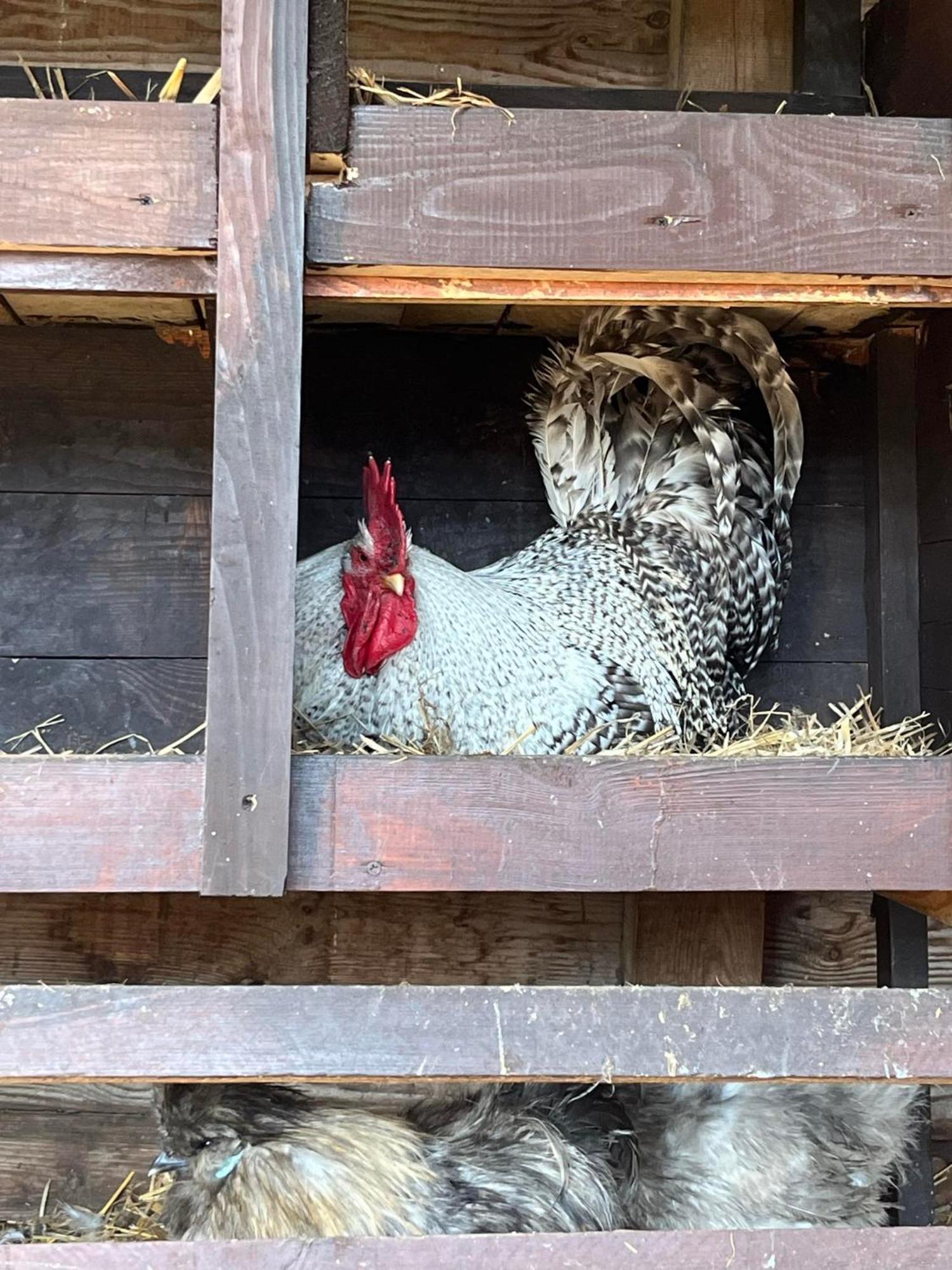 Agrotourist Maryska Male Lezno Villa Kültér fotó